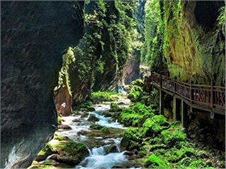 张家界旅游重大发现：无冬天更无夏天——朝阳地缝景区